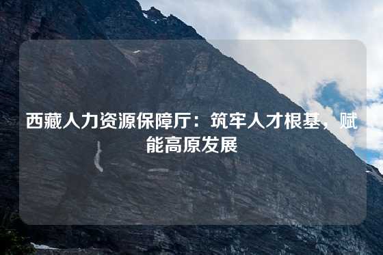西藏人力资源保障厅:筑牢人才根基,赋能高原发展