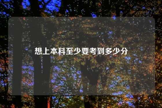 想上本科至少要考到多少分