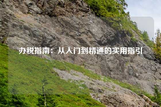 办税指南：从入门到精通的实用指引