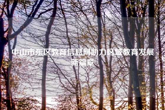 中山市东区教育信息网助力区域教育发展新篇章