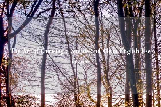 The Art of Choosing a Simple and Clean English Username