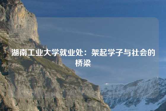 湖南工业大学就业处：架起学子与社会的桥梁