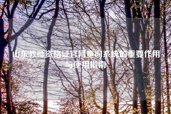 山东教师资格证官网查询系统的重要作用与使用指南
