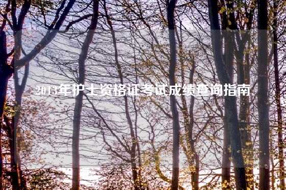 2013年护士资格证考试成绩查询指南