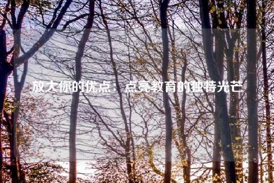 放大你的优点：点亮教育的独特光芒