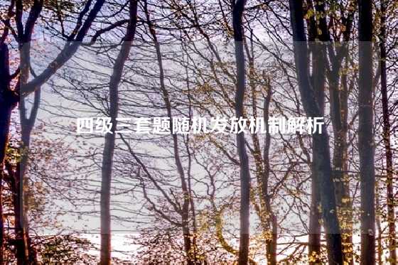 四级三套题随机发放机制解析