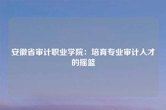 安徽省审计职业学院：培育专业审计人才的摇篮