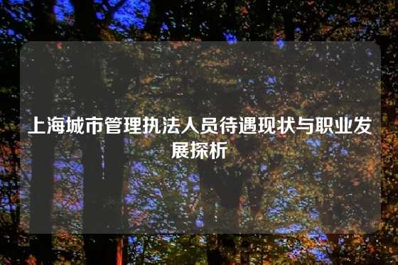 上海城市管理执法人员待遇现状与职业发展探析