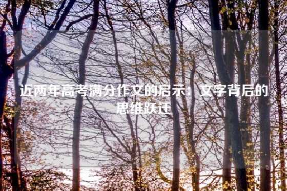 近两年高考满分作文的启示：文字背后的思维跃迁