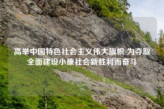 高举中国特色社会主义伟大旗帜 为夺取全面建设小康社会新胜利而奋斗