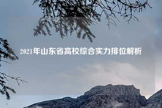 2021年山东省高校综合实力排位解析