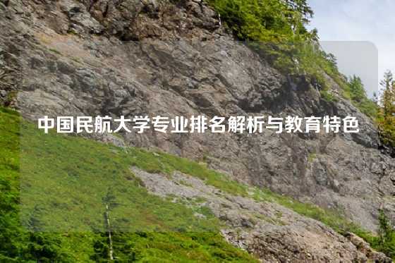 中国民航大学专业排名解析与教育特色