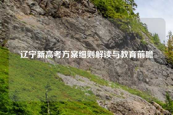 辽宁新高考方案细则解读与教育前瞻