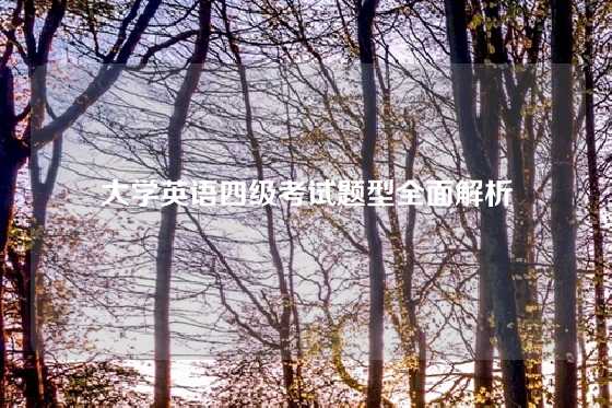 大学英语四级考试题型全面解析