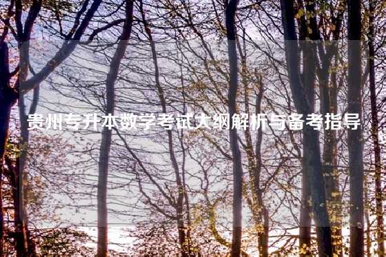 贵州专升本数学考试大纲解析与备考指导