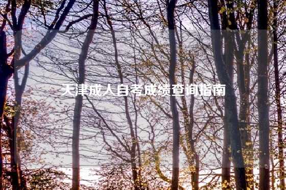 天津成人自考成绩查询指南