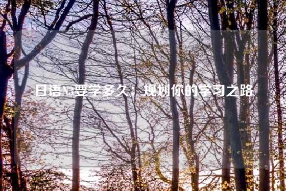 日语N3要学多久：规划你的学习之路