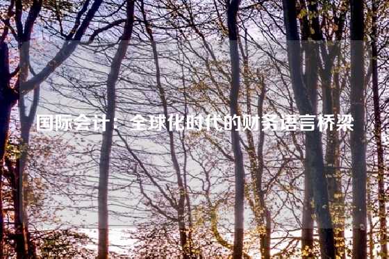国际会计：全球化时代的财务语言桥梁