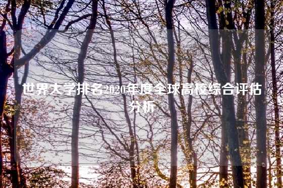 世界大学排名2020年度全球高校综合评估分析