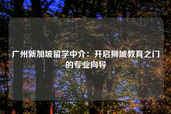 广州新加坡留学中介:开启狮城教育之门的专业向导