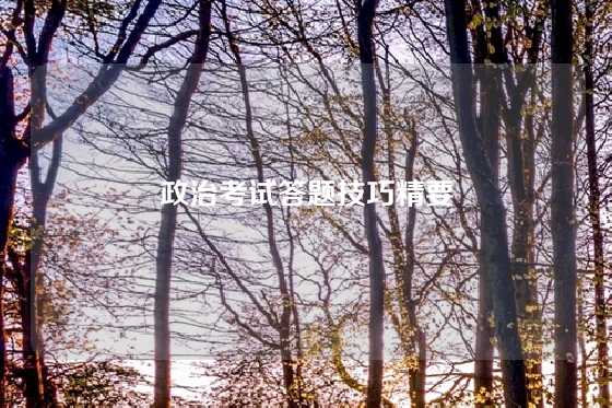 政治考试答题技巧精要
