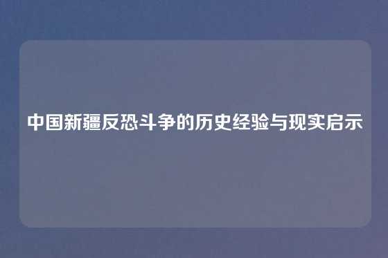 中国新疆反恐斗争的历史经验与现实启示