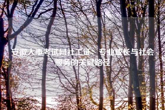 安徽人事考试网社工证：专业成长与社会服务的关键路径