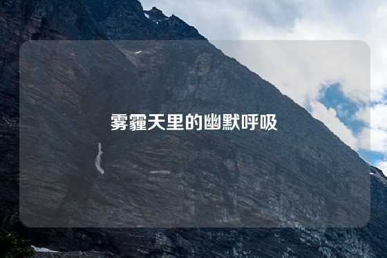 雾霾天里的幽默呼吸