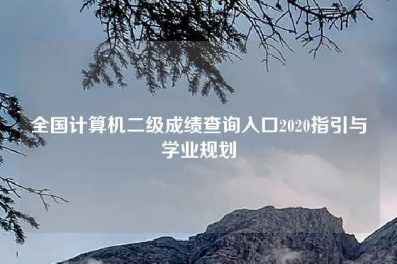 全国计算机二级成绩查询入口2020指引与学业规划