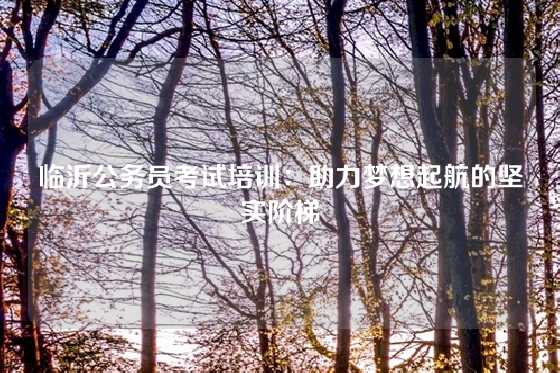 临沂公务员考试培训：助力梦想起航的坚实阶梯
